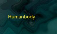 Humanbody